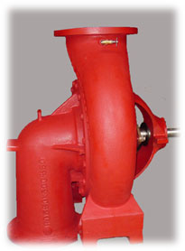 Customized model : Bottom suction-Top delivery end suction pump