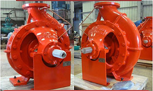 Two of the 16 ESF (marine fire-fighting) pumps supplied to a shipbuilder in Hong Kong